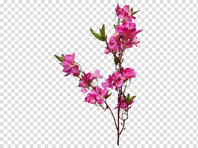 Cut flowers Floral design Plant Artificial flower, peach blossom transparent background PNG clipart