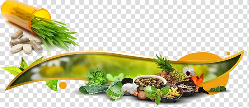 Herb Business Pharmaceutical drug Manufacturing India, garnish transparent background PNG clipart