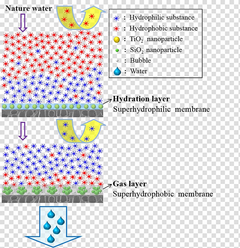 Organic matter Nanofiltration Superhydrophilicity Hydrophile Membrane, others transparent background PNG clipart