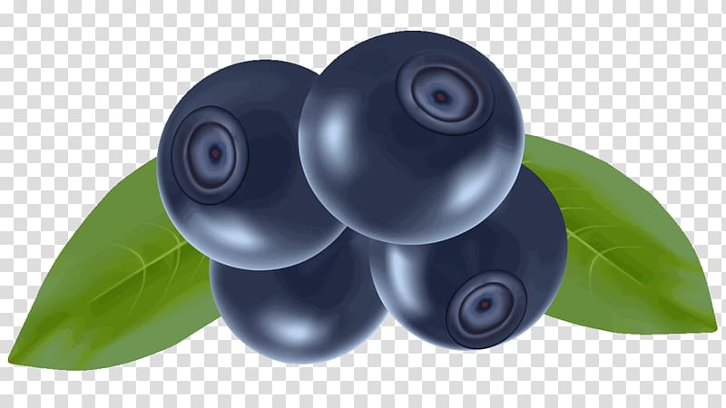 Blueberries transparent background PNG clipart