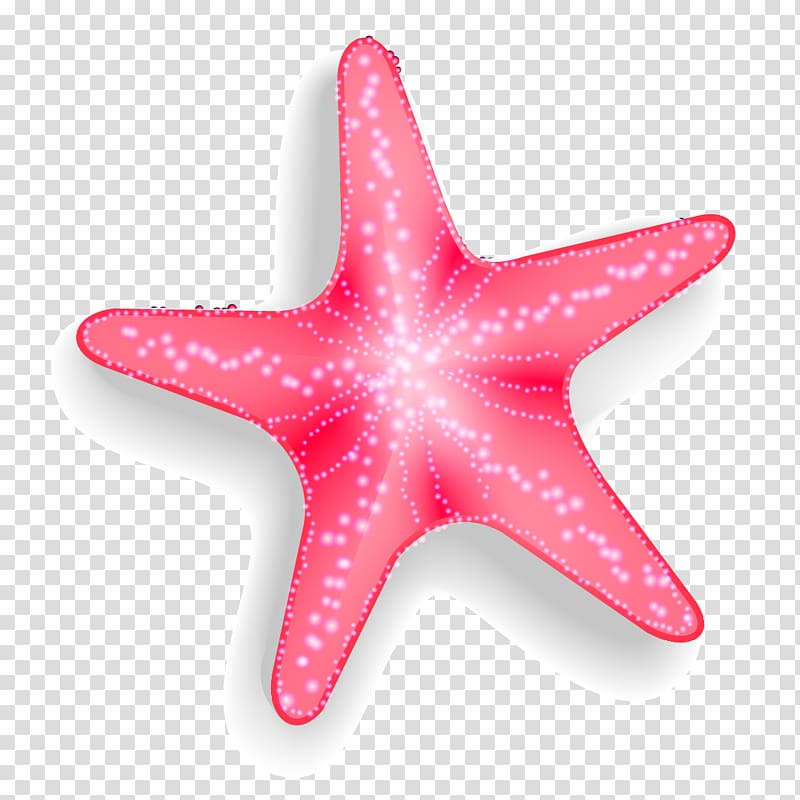 star fish illustration, Starfish Euclidean Pisaster brevispinus, Pink starfish transparent background PNG clipart