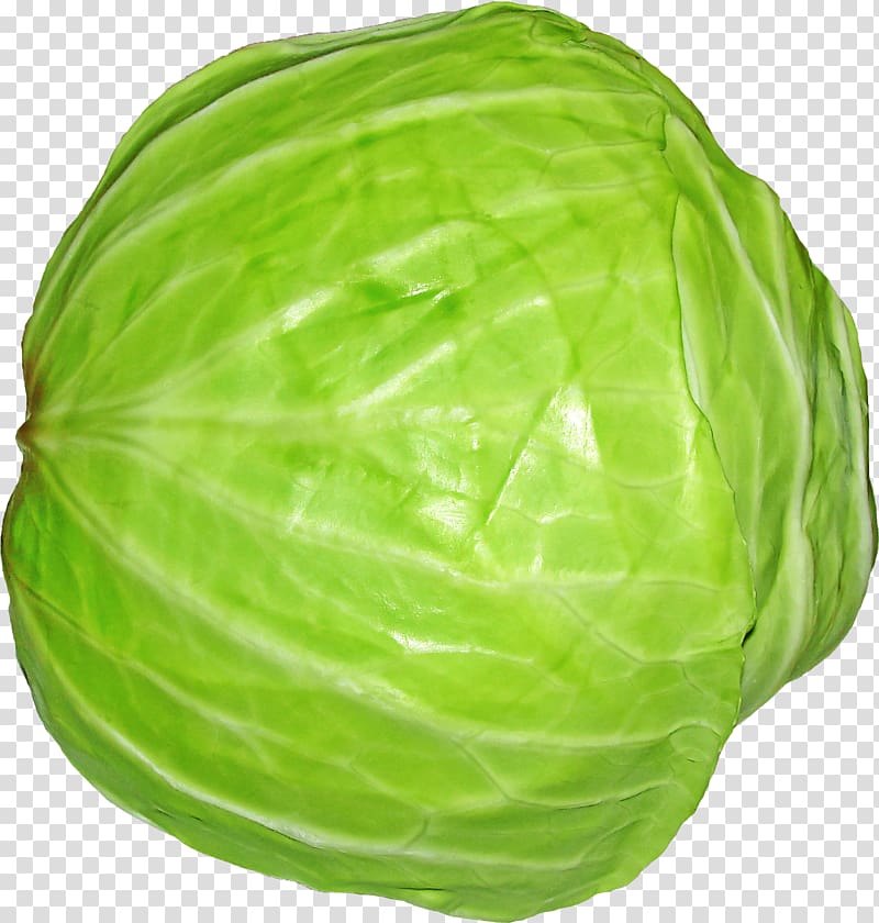 Savoy cabbage Cauliflower Vegetable farming, Cabbage transparent background PNG clipart