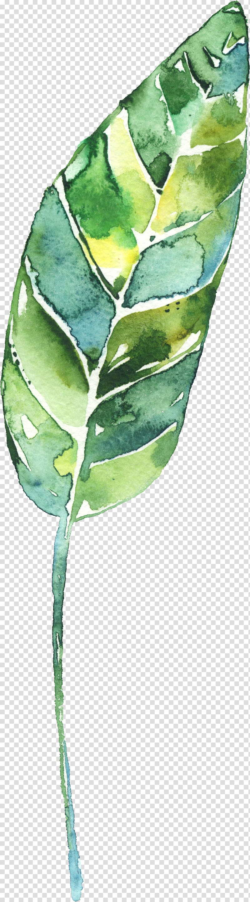 Creative Watercolor Watercolor painting Leaf, Celebration Flower Flower Line Drawing transparent background PNG clipart