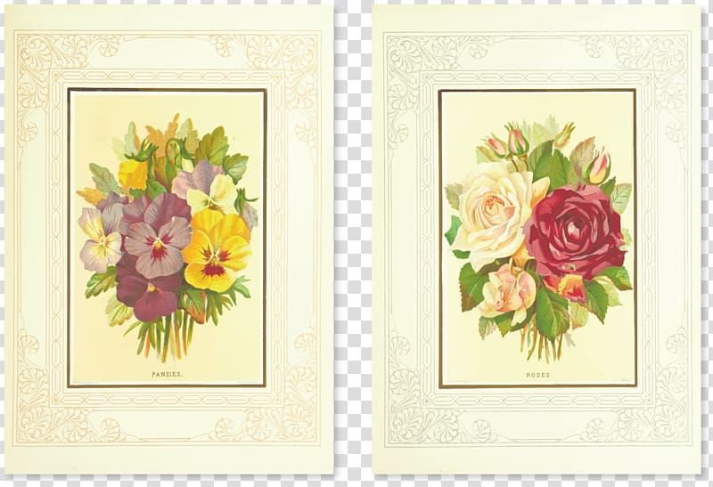 Floral design Flower Drawing Illustration, floral illustration transparent background PNG clipart