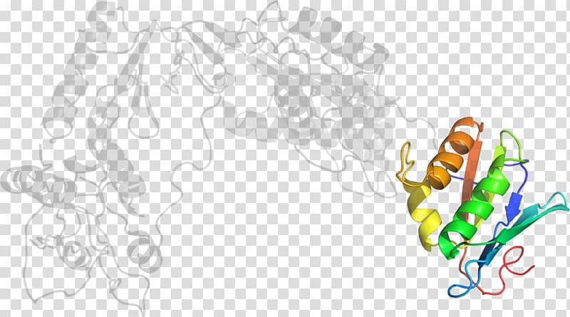 , design transparent background PNG clipart