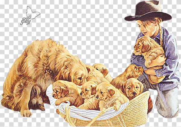 Puppy Golden Retriever English Cocker Spaniel Animal, dog in kind transparent background PNG clipart