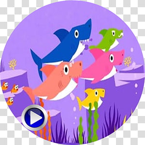 Fish Marine mammal , fish transparent background PNG clipart thumbnail