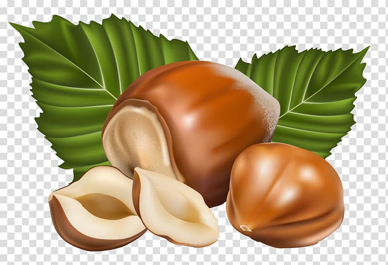 brown nut and two green leaves illustration, Chocolate Hazelnut Flavor Nucule Pastry, Hazelnut transparent background PNG clipart
