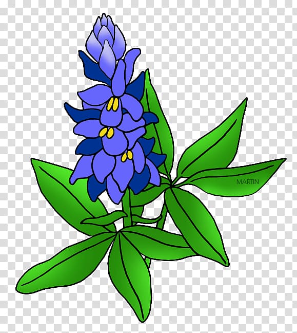 Texas bluebonnet Free content, petal transparent background PNG clipart