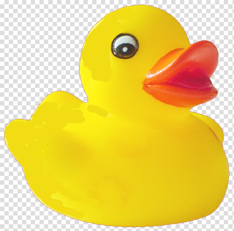 Rubber duck American Pekin , Duck Pic transparent background PNG clipart