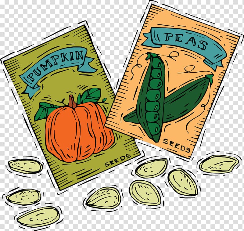 Seed Packet , seeds transparent background PNG clipart