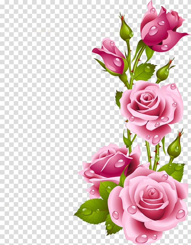 Frames Rose Flower , rose transparent background PNG clipart