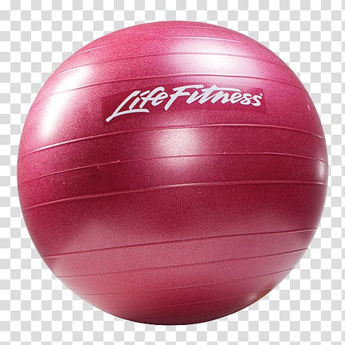 Life Fitness Stability Ball