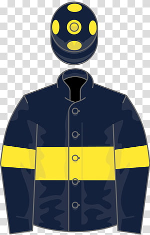 Thoroughbred Ascot Racecourse Racing Post Trophy Horse racing Ascot Gold Cup, others transparent background PNG clipart thumbnail