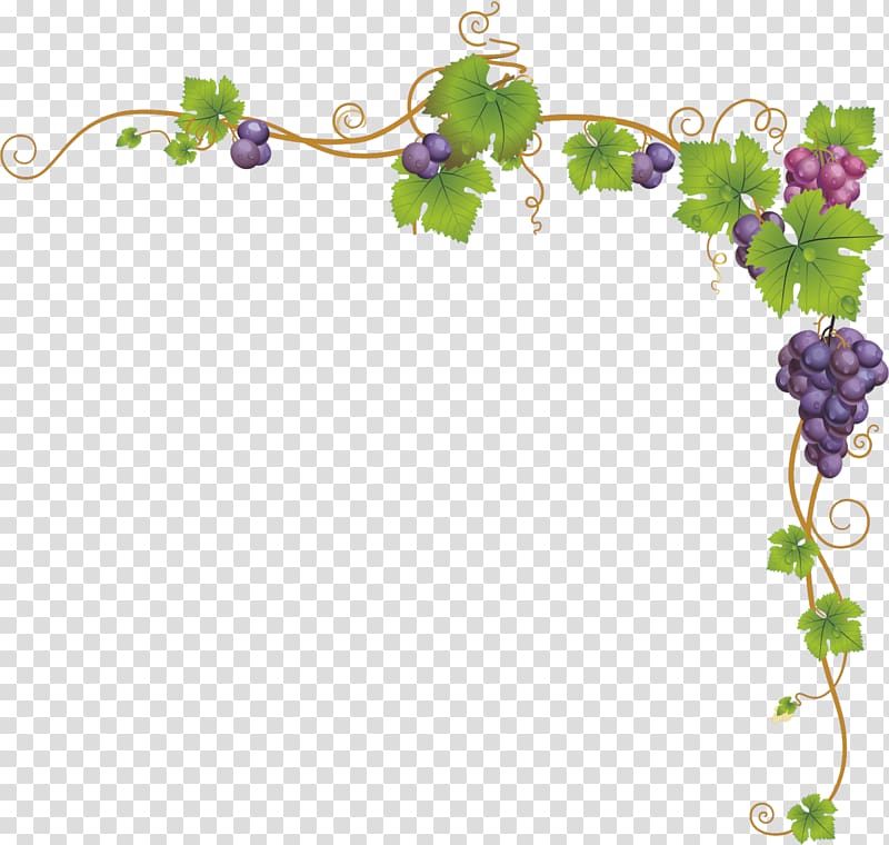 grape vine and bunch of purple grape illustration, Church service Child Dendrite, grape,Dendrite,Vines,frame,Frame,lace transparent background PNG clipart
