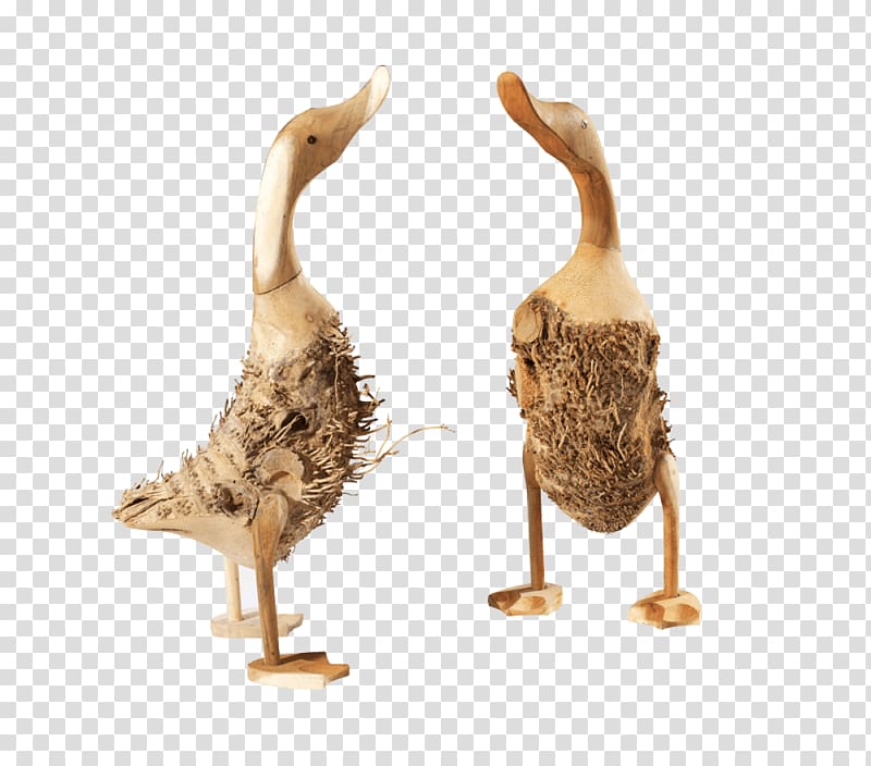 Duck Goose Wood Water bird Anatidae, wood table transparent background PNG clipart