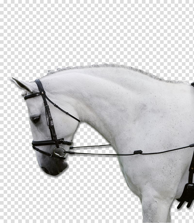 Horse Rein Martingale Equestrian Saddle, horse transparent background PNG clipart