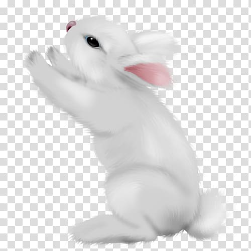 Domestic rabbit Hare Easter Bunny Animal, rabbit transparent background PNG clipart