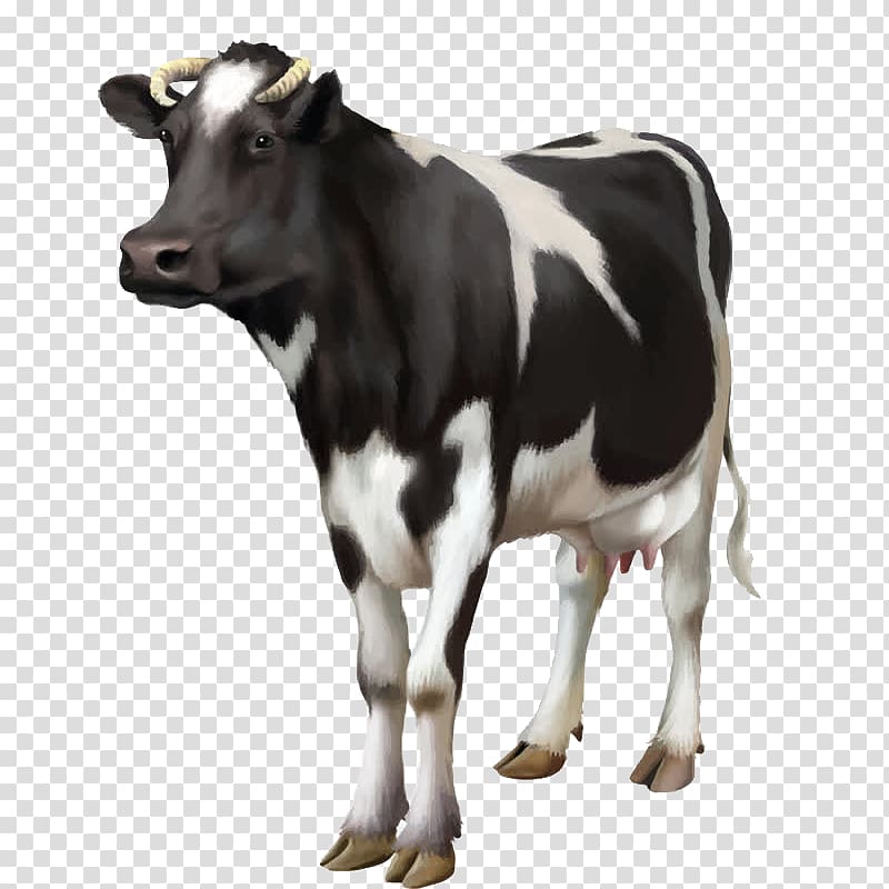 dairy cow illustration, Cattle Horse Ultrasound Veterinarian Veterinary medicine, Dairy cow transparent background PNG clipart