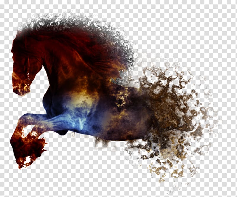 Hanoverian horse Mustang Stallion Dressage Snout, mustang transparent background PNG clipart