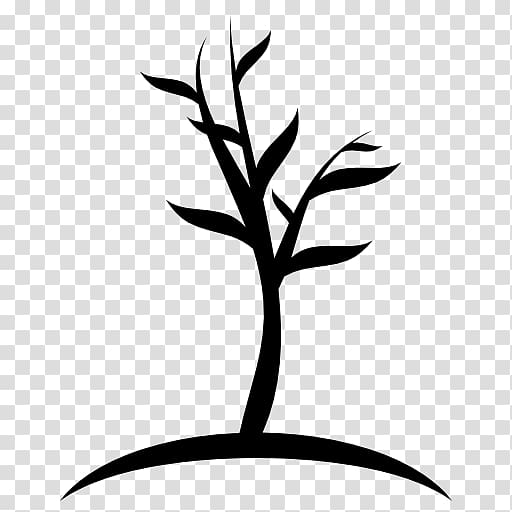 Tree Computer Icons Trunk, seedlings transparent background PNG clipart