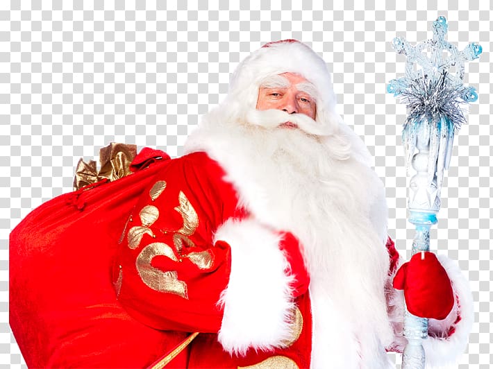 Ded Moroz Snegurochka grandfather Ziuzia Holiday, others transparent background PNG clipart