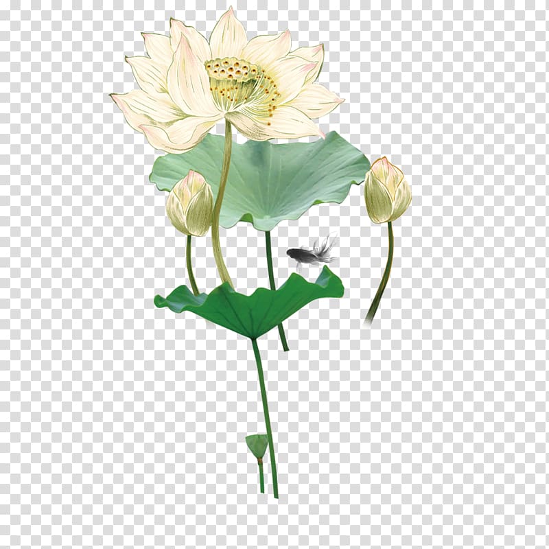 Ink wash painting Chinese painting Nelumbo nucifera Gongbi, Lotus FIG. transparent background PNG clipart