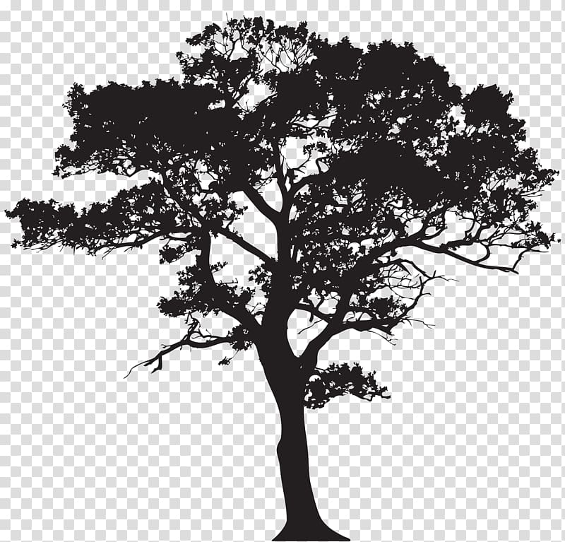 Silhouette Tree , mural transparent background PNG clipart