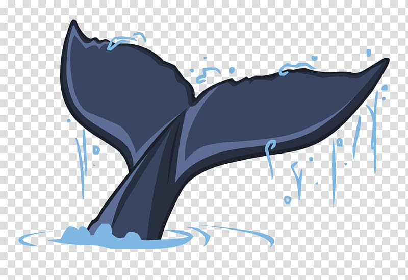 Dolphin Cartoon Portrait, dolphin transparent background PNG clipart