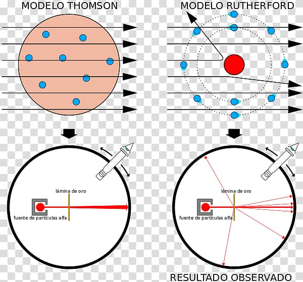 Geiger–Marsden experiment Rutherford model Plum pudding model Alpha particle, scientist transparent background PNG clipart