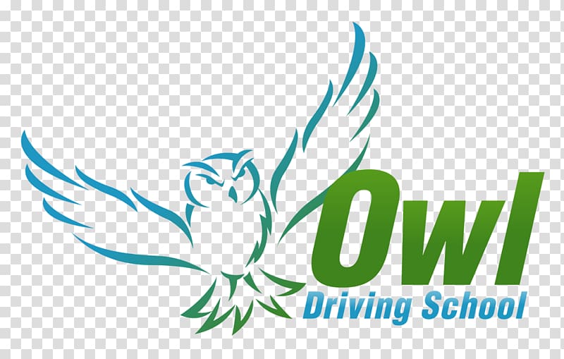 Owl Driving School Driving instructor Learning, driving school transparent background PNG clipart