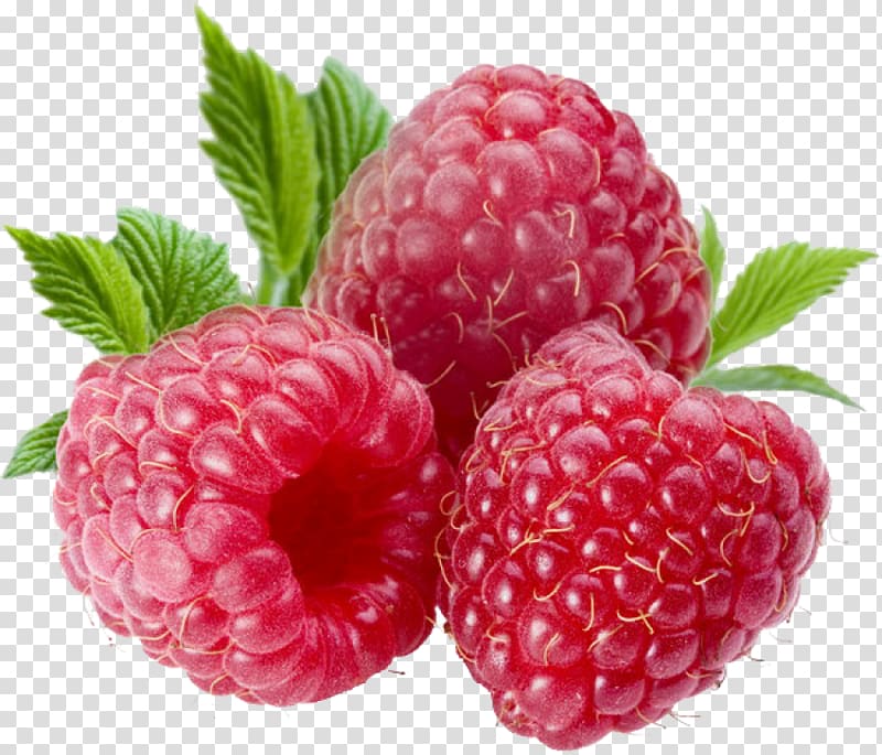 Pinot noir Raspberry Red Wine, raspberry transparent background PNG clipart