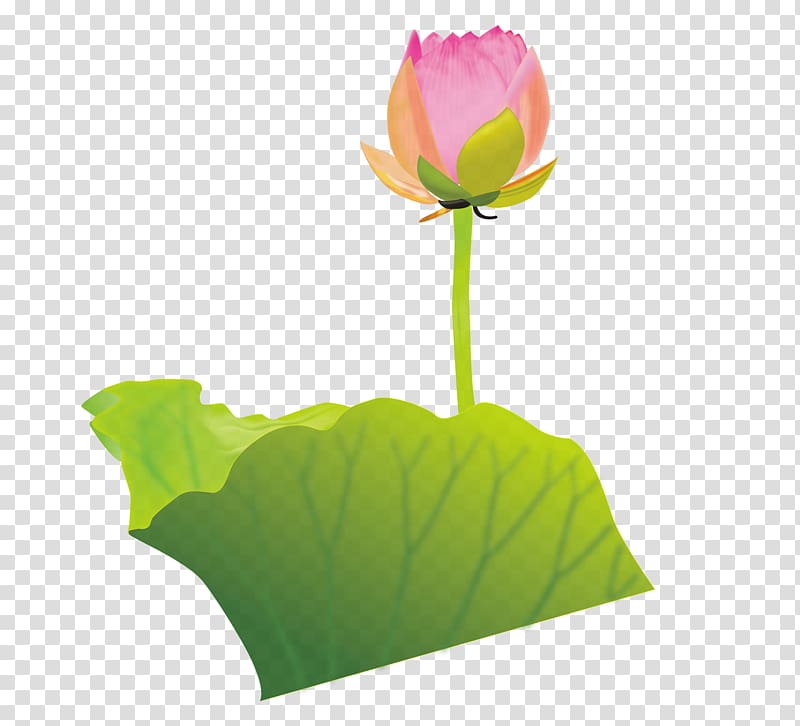Buddhism , Buddhism lotus material transparent background PNG clipart