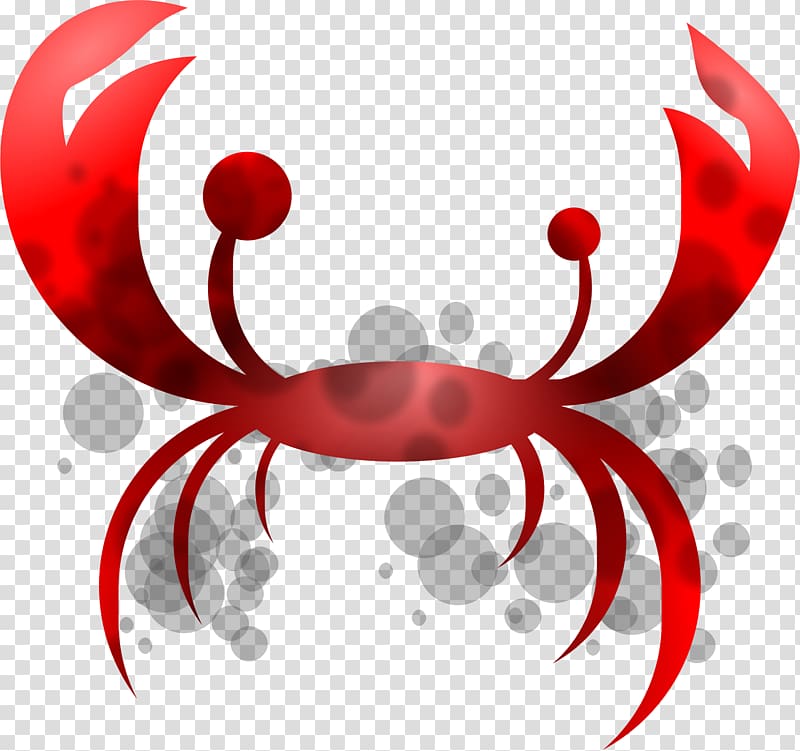 Crab meat Lobster T-shirt , crab transparent background PNG clipart