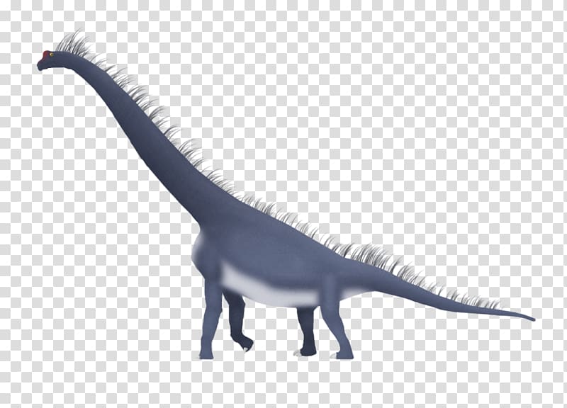 Velociraptor Brachiosaurus Giraffatitan Dromaeosaurus Carnotaurus, feather transparent background PNG clipart