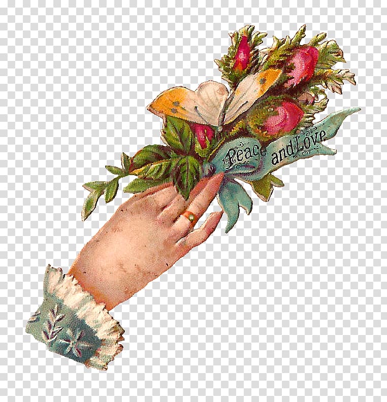 Floral design Victorian era Hand , hand transparent background PNG clipart
