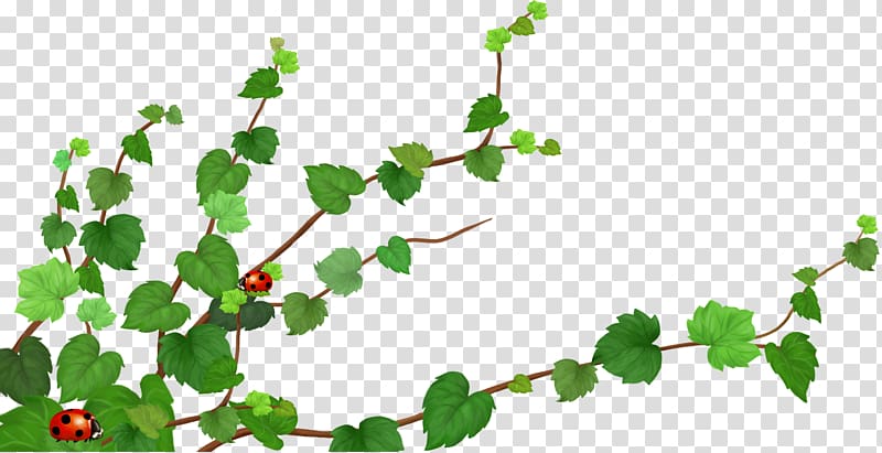 Twig , safflower with green leaves transparent background PNG clipart
