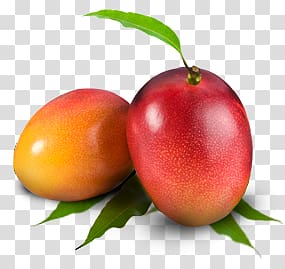 Mango transparent background PNG clipart