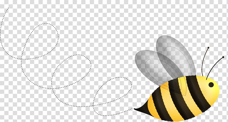 Apidae Insect Honey bee, bee transparent background PNG clipart