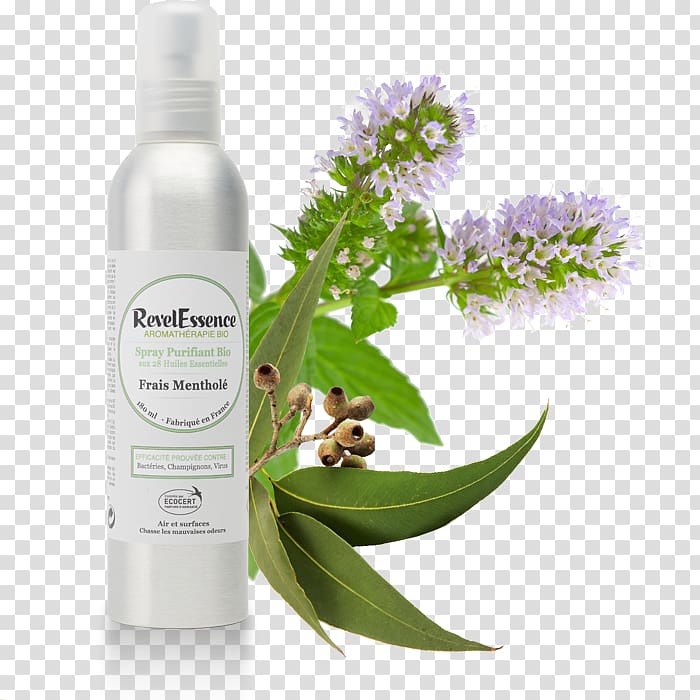 Menthol Essential oil Aerosol spray Peppermint, oil transparent background PNG clipart