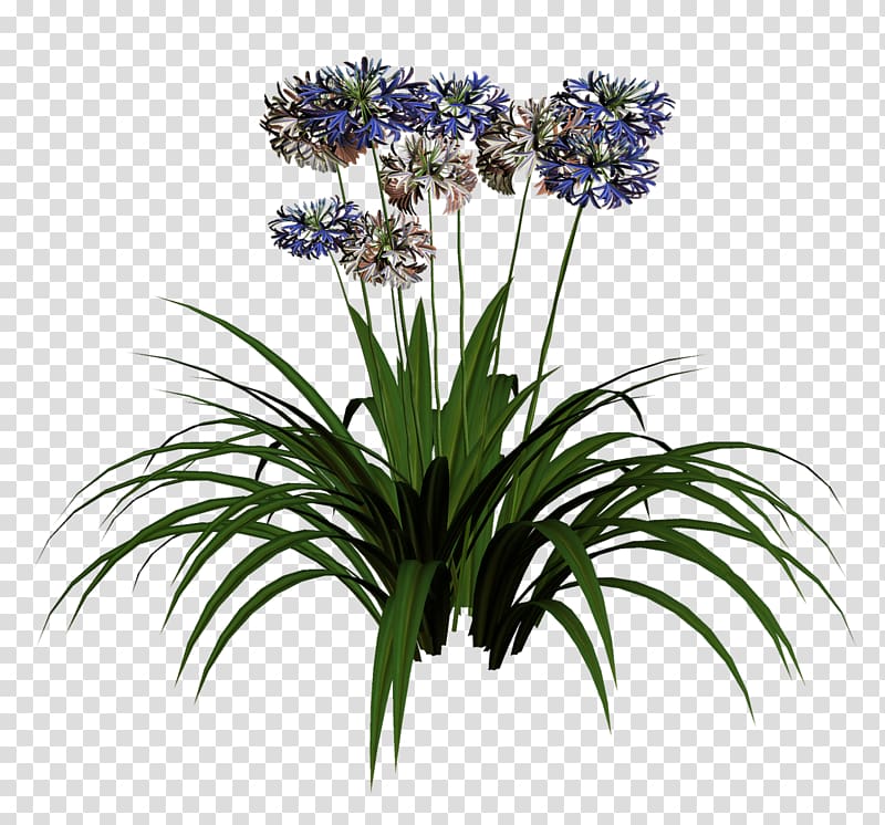 Cut flowers Hyacinth Plant, others transparent background PNG clipart