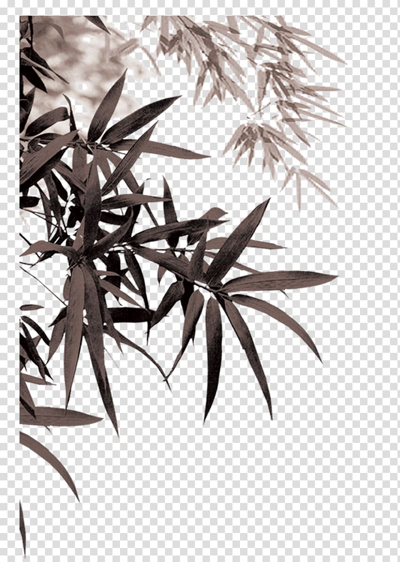 Bamboo , Ink bamboo leaves transparent background PNG clipart
