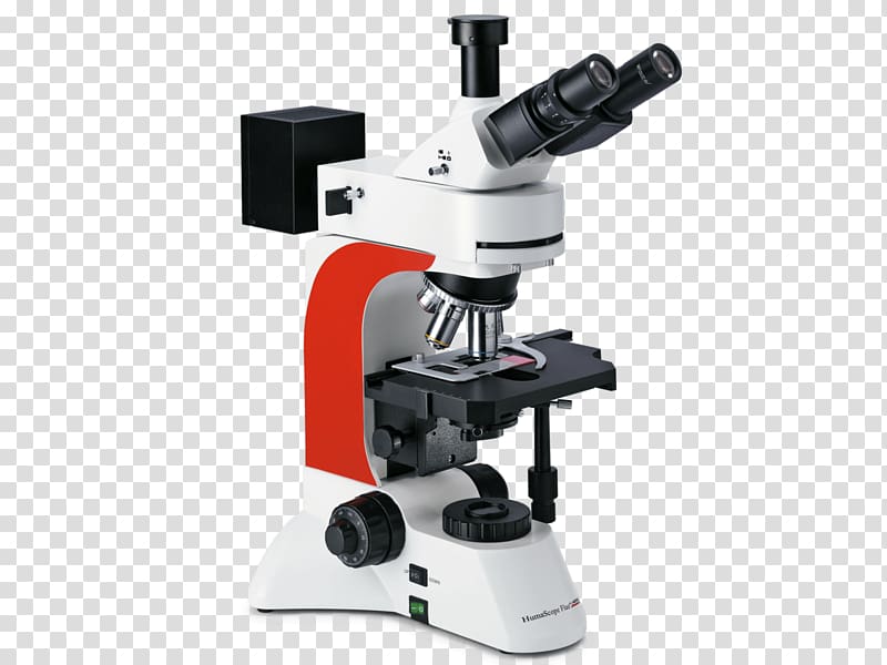 Fluorescence microscope Light-emitting diode, microscope transparent background PNG clipart