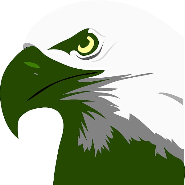 Bald Eagle , Green Eagle transparent background PNG clipart