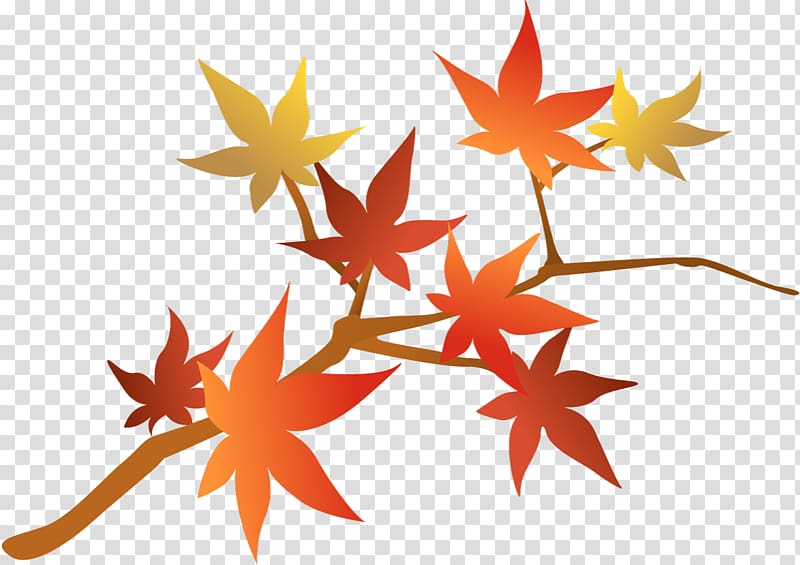 Maple leaf Line, big 10 gymnastics transparent background PNG clipart