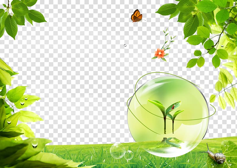 green grass field illustration, Poster, Sunshine Poster Background transparent background PNG clipart