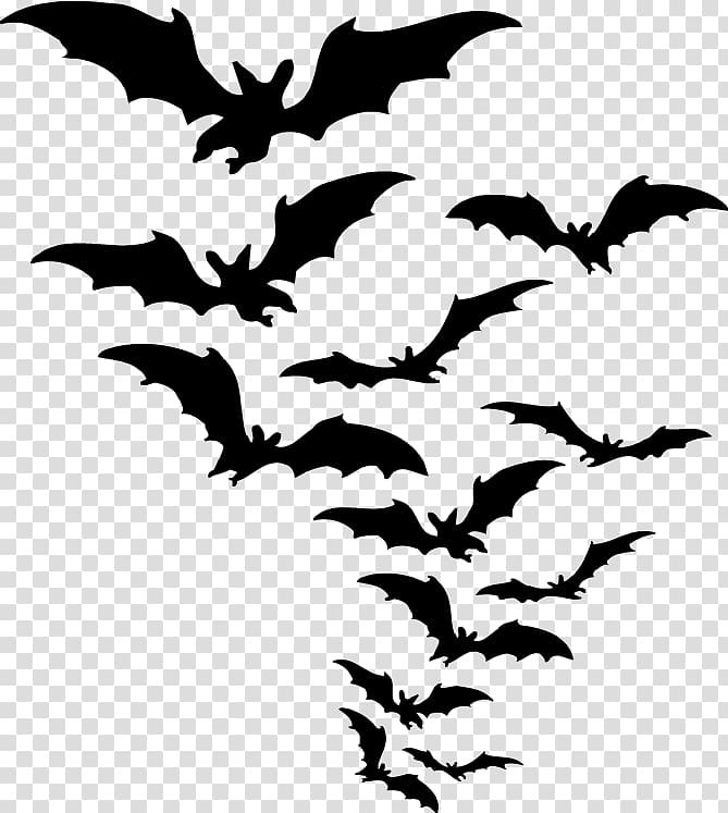 several silhouette of bats, Bat transparent background PNG clipart