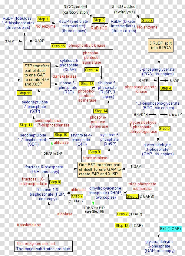 Web page Line, step flow chart transparent background PNG clipart