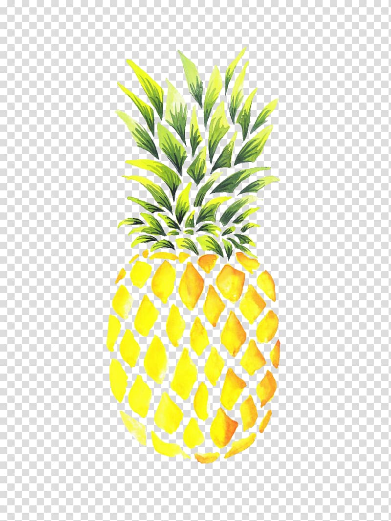 Pineapple Watercolor painting Drawing Portable Network Graphics , pineapple transparent background PNG clipart
