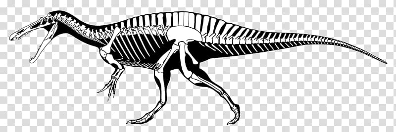 Spinosaurus Tyrannosaurus Suchomimus Ichthyovenator Baryonyx, dinosaur transparent background PNG clipart